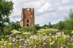 Подробнее о статье Эстетика руин