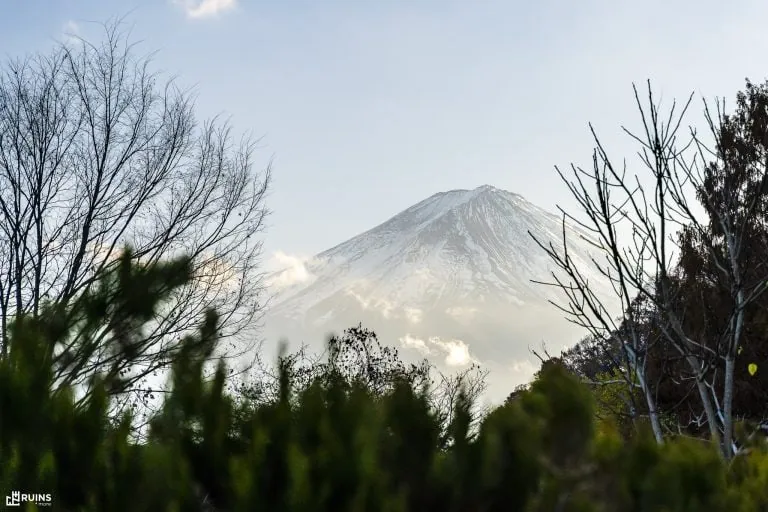 Фудзи глазами кузнечика