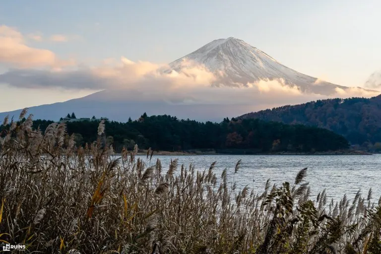 Ветер знает где тебя искать