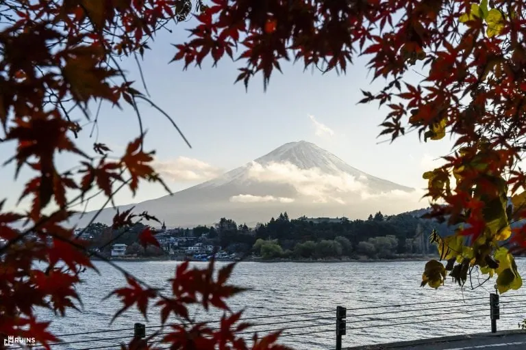 Пейзаж в рамке