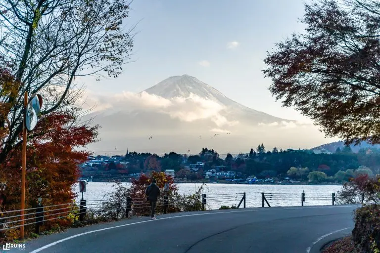 Вот, новый поворот, и мотор ревёт...
