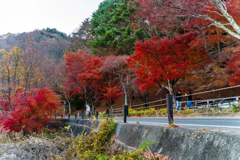 За поворотом. Тоннель Момидзи
