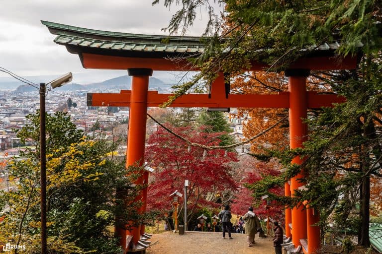 Тории на спуске с Сакуяхимэ